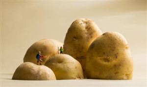 深度分析_中研普华行业研究网